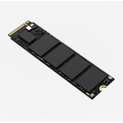 256 ГБ SSD диск HikSemi E1000 (HS-SSD-E1000/256G) черный