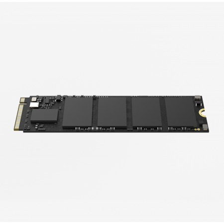 256 ГБ SSD диск HikSemi E1000 (HS-SSD-E1000/256G) черный