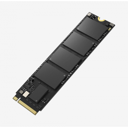 256 ГБ SSD диск HikSemi E1000 (HS-SSD-E1000/256G) черный