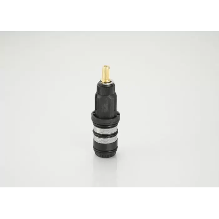 Термостатический картридж Raglo R502.551 черный