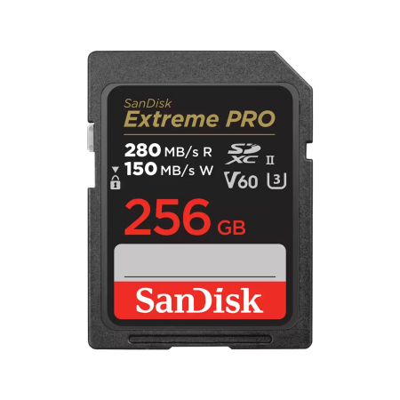256 ГБ Карта памяти SanDisk Extreme Pro SDXC (SDSDXEP-256G-GN4IN) черный