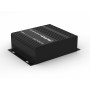 Преобразователь аудиосигнала CVGaudio REVOLT черный Преобразователь аудиосигнала CVGaudio REVOLT черный