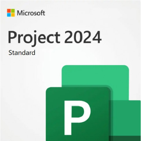 Программное обеспечение Microsoft Project Standard 2024 (EP2-07057)