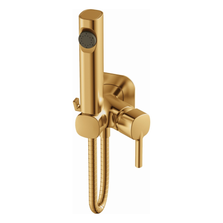 Душевая гарнитура Haiba HB5518-5 золотистый