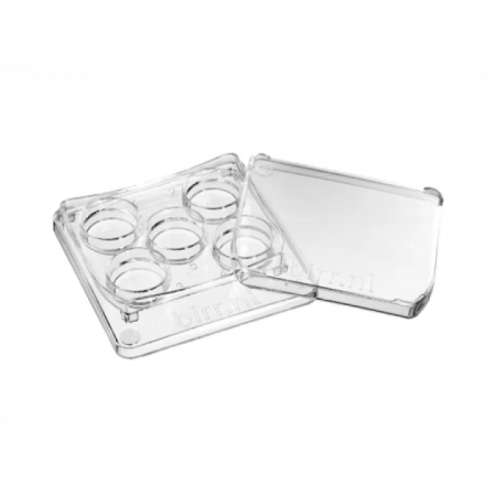 Лабораторный прибор Square 5 well dish, per 6 - 30x6/box Прозрачный