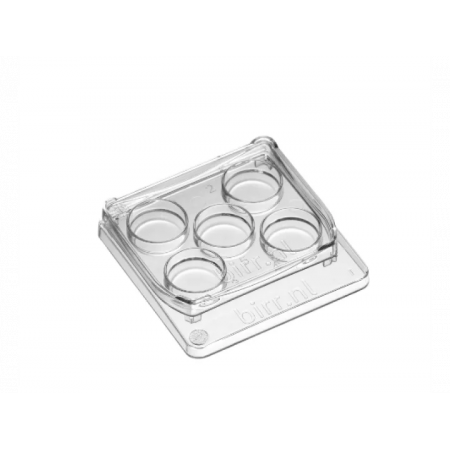 Лабораторный прибор Square 5 well dish, per 6 - 30x6/box Прозрачный
