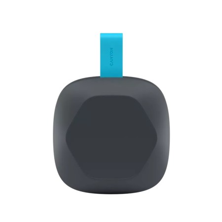 Колонки Canyon HEXAGON 10 (CNE-CBTSP10GB) серый