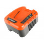 Зарядное устройство PATRIOT GL 402 оранжевый Зарядное устройство PATRIOT GL 402 оранжевый