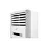 Колонный кондиционер Atlantiq AFPA-24ARN1 серебристый