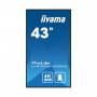43" Монитор iiyama PROLITE PL4360 (LH4360UHS-B2AG) черный