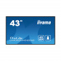 43" Монитор iiyama PROLITE PL4360 (LH4360UHS-B2AG) черный