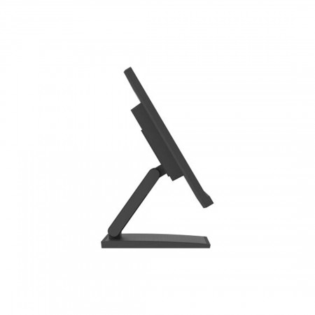 23.8" Монитор iiyama ProLite PL2454M (T2454MSC-B2AG) черный