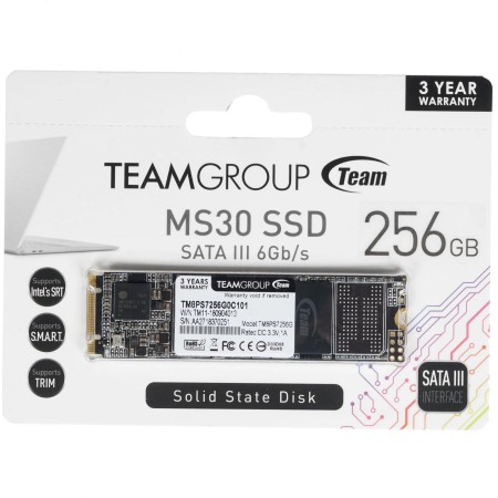 256 ГБ SSD диск Team Group MS30 (TM8PS7256G0C101) черный