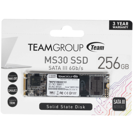 256 ГБ SSD диск TEAMGROUP MS30 (TM8PS7256G0C101) черный