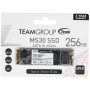 256 ГБ SSD диск TEAMGROUP MS30 (TM8PS7256G0C101) черный