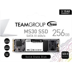 256 ГБ SSD диск Team Group MS30 (TM8PS7256G0C101) черный