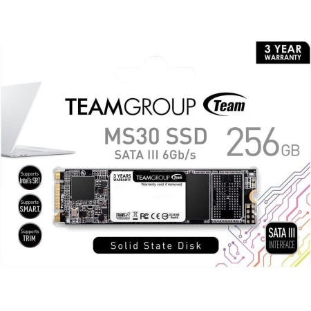 256 ГБ SSD диск Team Group MS30 (TM8PS7256G0C101) черный