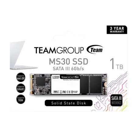 1 ТБ SSD диск Team Group MS30 (TM8PS7001T0C101) черный
