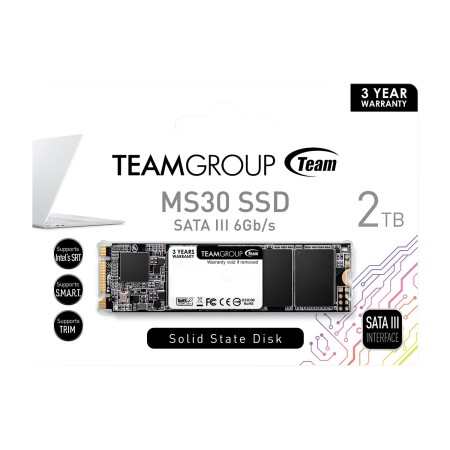 2 ТБ SSD диск Team Group MS30 (TM8PS7002T0C101) черный