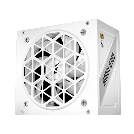 Блок питания 1Stplayer NGDP HA-1000BA4 белый