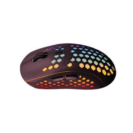 Мышь беспроводная Canyon Haster GMW-18 (CND-SGMW18) черный