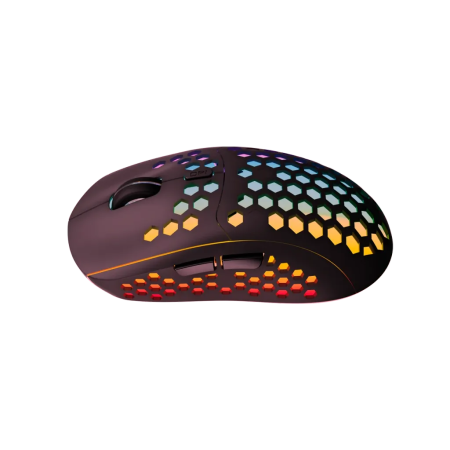Мышь беспроводная Canyon Haster GMW-18 (CND-SGMW18) черный