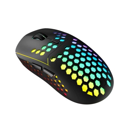 Мышь беспроводная Canyon Haster GMW-18 (CND-SGMW18) черный