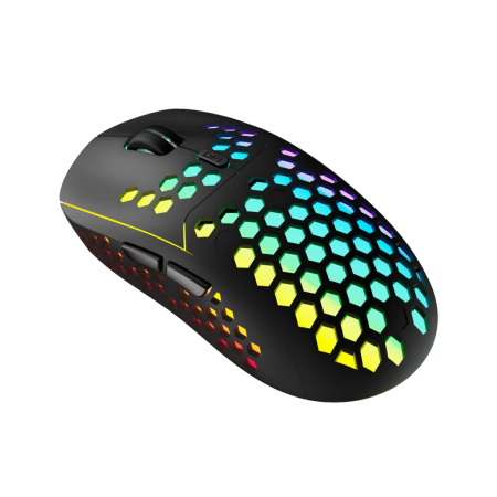 Мышь беспроводная Canyon Haster GMW-18 (CND-SGMW18) черный