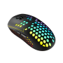 Мышь беспроводная Canyon Haster GMW-18 (CND-SGMW18) черный