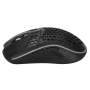 Мышь беспроводная Canyon Haster GMW-18 (CND-SGMW18) черный