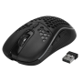 Мышь беспроводная Canyon Haster GMW-18 (CND-SGMW18) черный