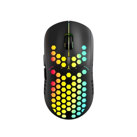 Мышь беспроводная Canyon Haster GMW-18 (CND-SGMW18) черный