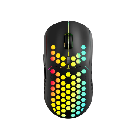 Мышь беспроводная Canyon Haster GMW-18 (CND-SGMW18) черный