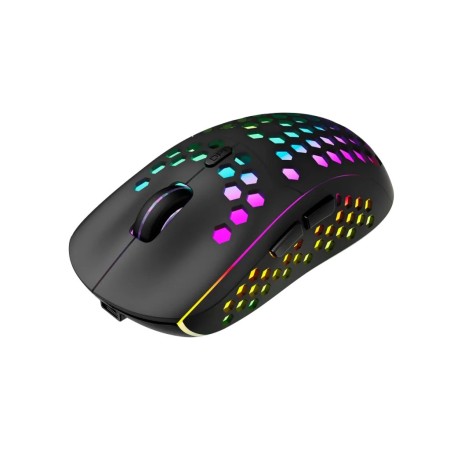 Мышь беспроводная Canyon Haster GMW-18 (CND-SGMW18) черный