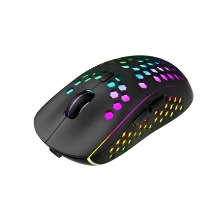 Мышь беспроводная Canyon Haster GMW-18 (CND-SGMW18) черный