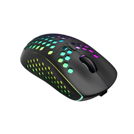Мышь беспроводная Canyon Haster GMW-18 (CND-SGMW18) черный