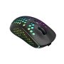 Мышь беспроводная Canyon Haster GMW-18 (CND-SGMW18) черный