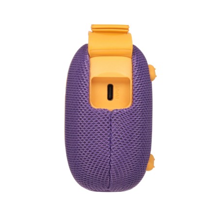 Портативная колонка Soundcore Select 4 Go (A31X1) фиолетовый