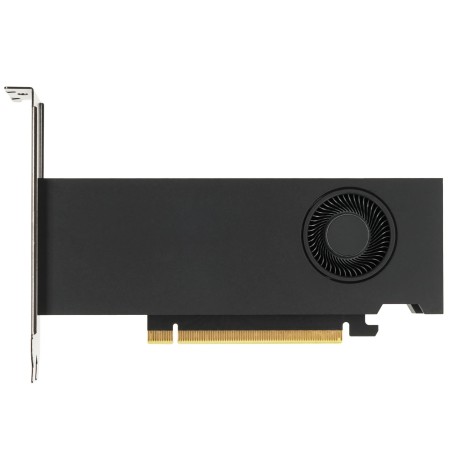 Видеокарта PNY RTX 2000 Ada Generation (VCNRTX2000ADA-SB) 16 Гб черный