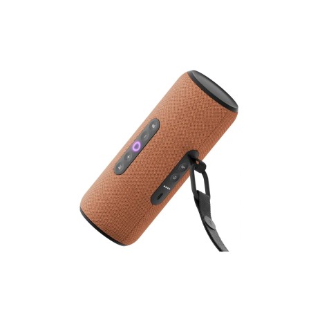 Портативная умная колонка Яндекс Станция Стрит (YNDX-00030ORG) оранжевый