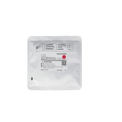 Девелопер CET CET171035 пурпурный