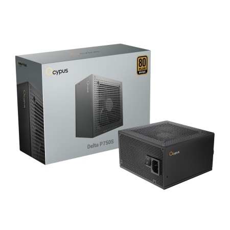 Блок питания Ocypus Delta P750S (Delta-P750S-BDFBK025X-EU) черный