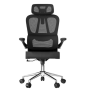 Офисное кресло FLEXISPOT OC19B черный