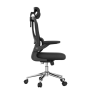Офисное кресло FLEXISPOT OC19B черный