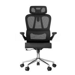 Кресло офисное компьютерное FlexiSpot OC19BB черный