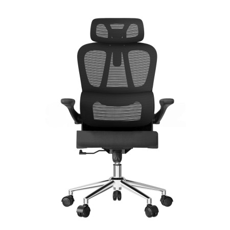 Кресло офисное компьютерное FlexiSpot OC19BB черный