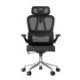 Кресло офисное компьютерное FlexiSpot OC19BB черный