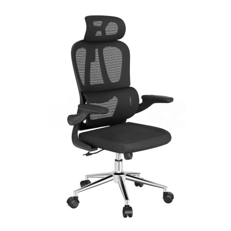 Кресло офисное компьютерное FlexiSpot OC19BB черный