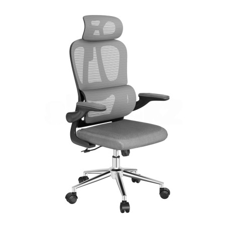 Кресло офисное компьютерное FlexiSpot OC19G серый