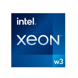 Серверный процессор Intel Xeon W3 2525 (PK8071305502400) OEM серый